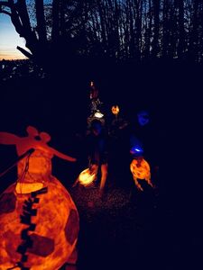 dccf91b2-dff3-4896-9f1b-243fdef18c50